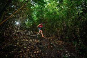 BIB: 
                            <button type="button" onclick="openModal(25097893)" class="btn btn-primary btn-sm float-right btn-popup" data-toggle="modal" data-target=".modal-high-quality">
                        <i class="fas fa-shopping-cart"></i> Add to Cart
                    </button>
                                            <button type="button" onclick="isThisMe(25097893, true)" class="btn btn-success btn-sm float-right btn-popup btn-isme hidden" data-toggle="tooltip" data-placement="bottom" title="นี่คือรูปของคุณใช่ไหม คลิกที่นี่เพื่อเอาเข้าอัลบั้ม">
                        <i class="fas fa-plus"></i> Add to album
                    </button>
                    <button type="button" onclick="isThisMe(25097893, false)" class="btn btn-warning btn-sm float-right btn-popup btn-isnotme hidden">
                        <i class="fas fa-ban"></i> Remove from album
                    </button>